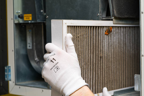 Best HVAC Maintenance and Cleaning  in Pine Level, NC
